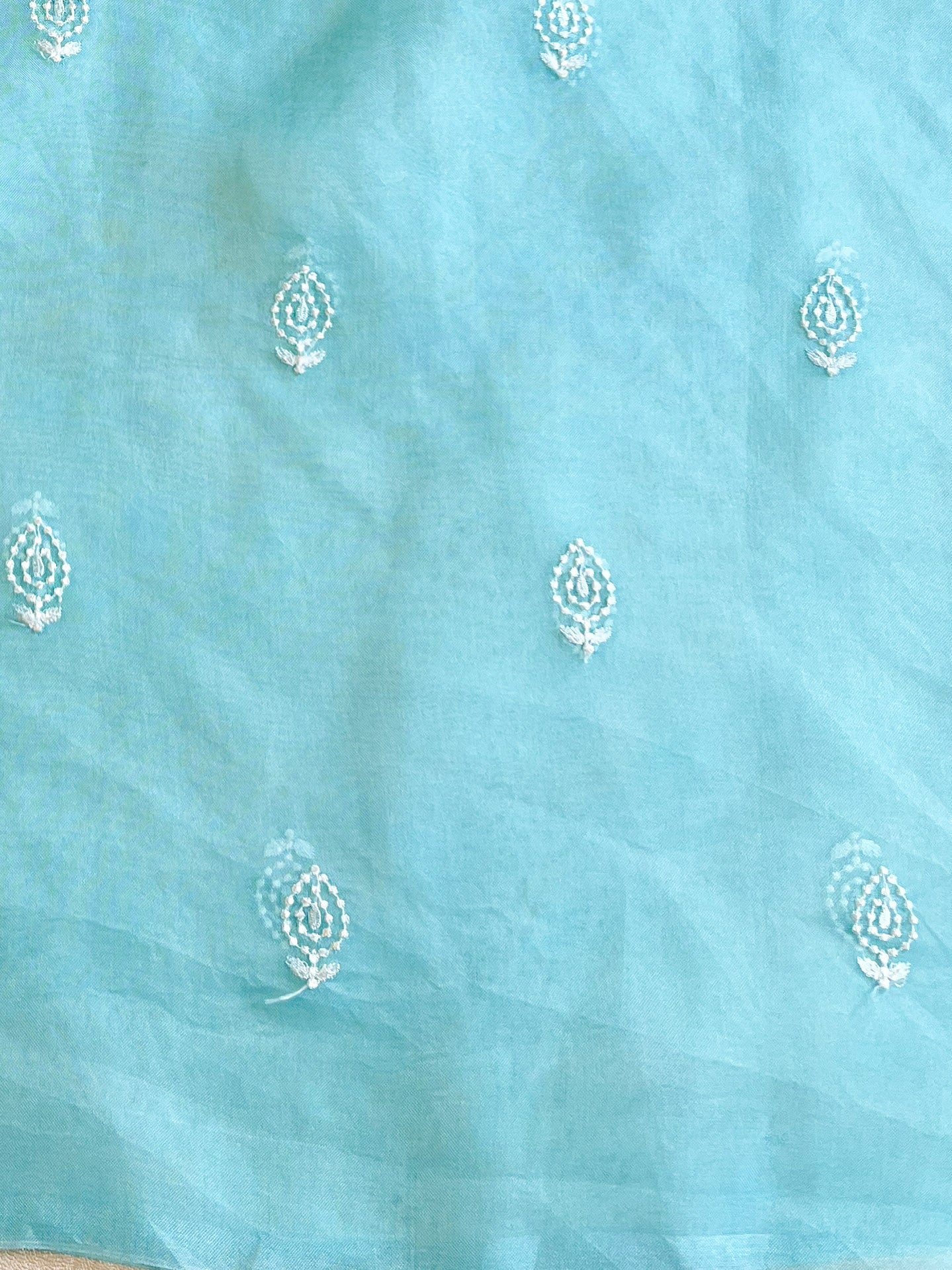 Banarasee Pure Organza Silk Saree With Floral Resham Embroidery-Light Blue