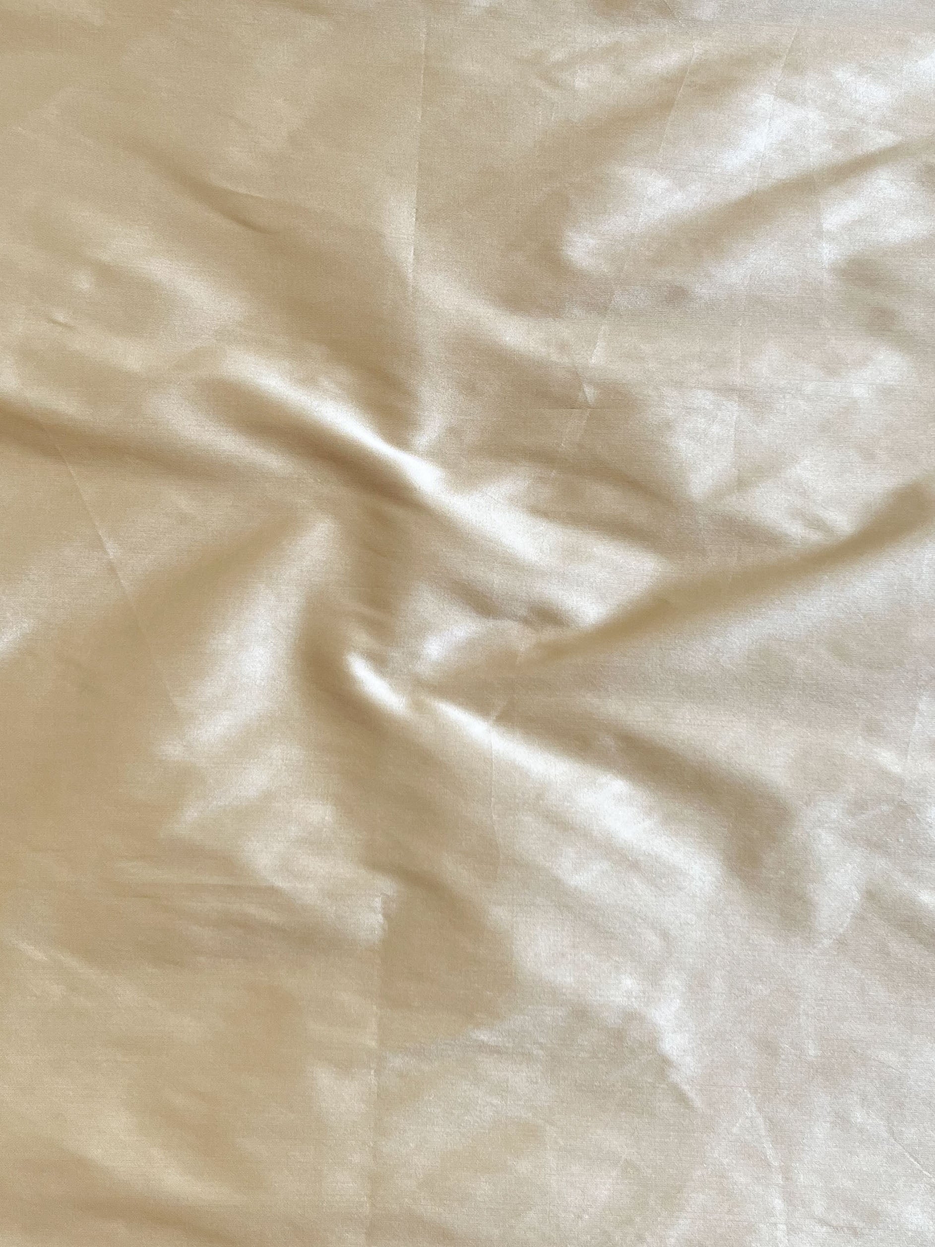 Banarasee Hand Painted Tissue Salwar Kameez Fabric With Dupatta-Beige