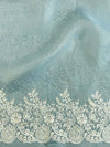 Banarasee Pure Organza Silk Saree With Floral Resham Embroidery-Pastel Blue