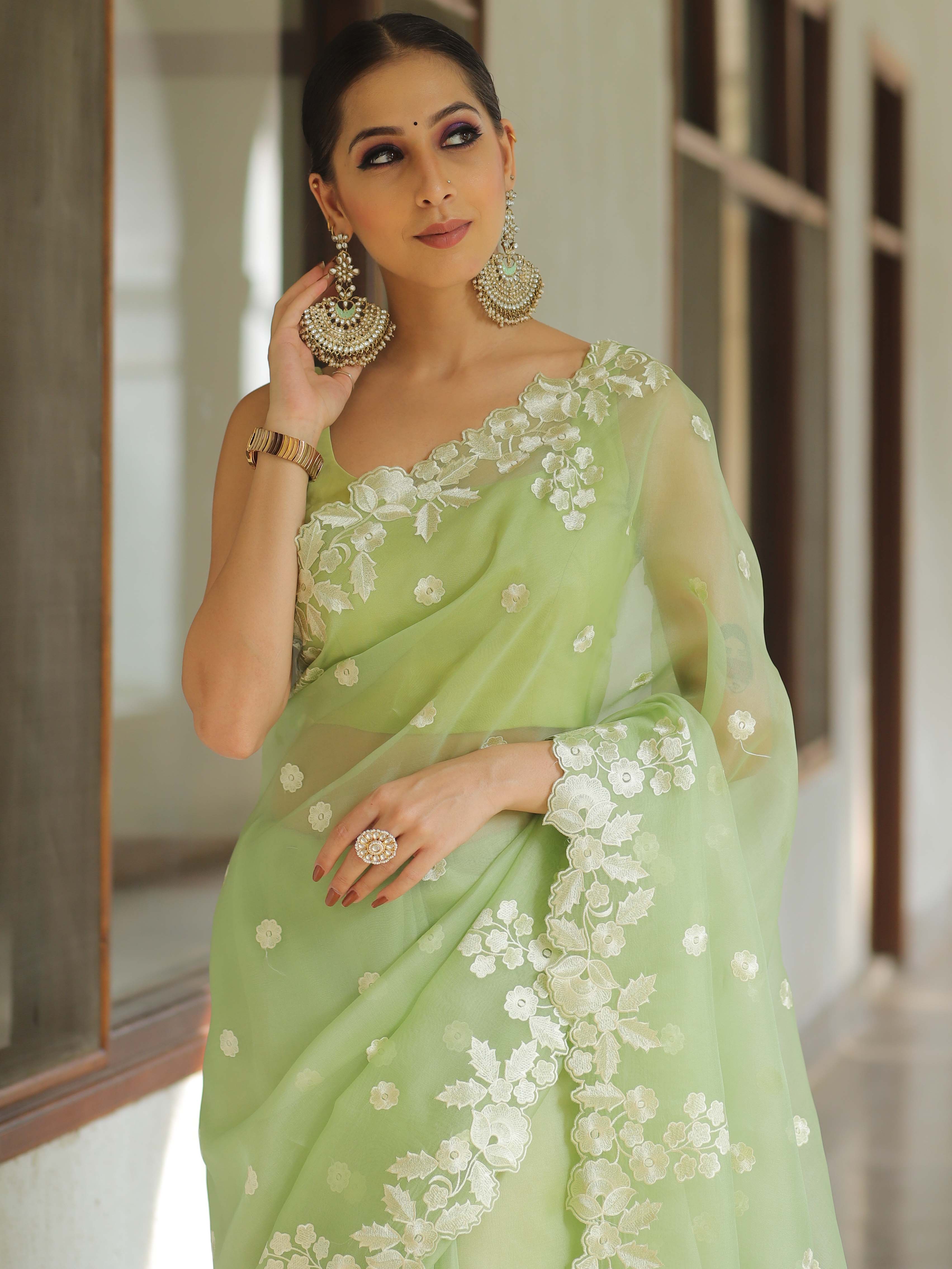 Banarasee Pure Organza Silk Saree With Floral Resham Embroidery-Light Green