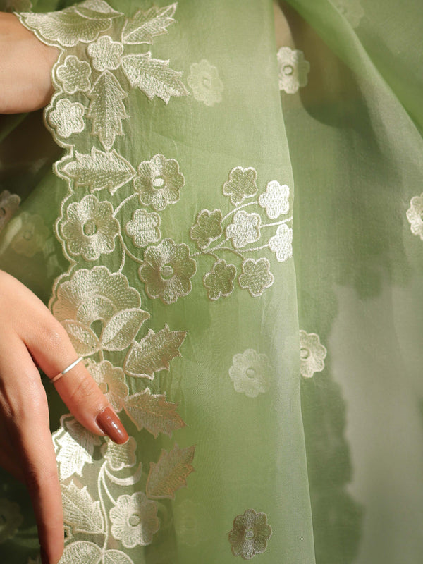 Banarasee Pure Organza Silk Saree With Floral Resham Embroidery-Light Green