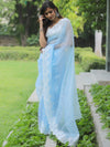 Banarasee Pure Organza Silk Saree With Floral Resham Embroidery-Pastel Blue