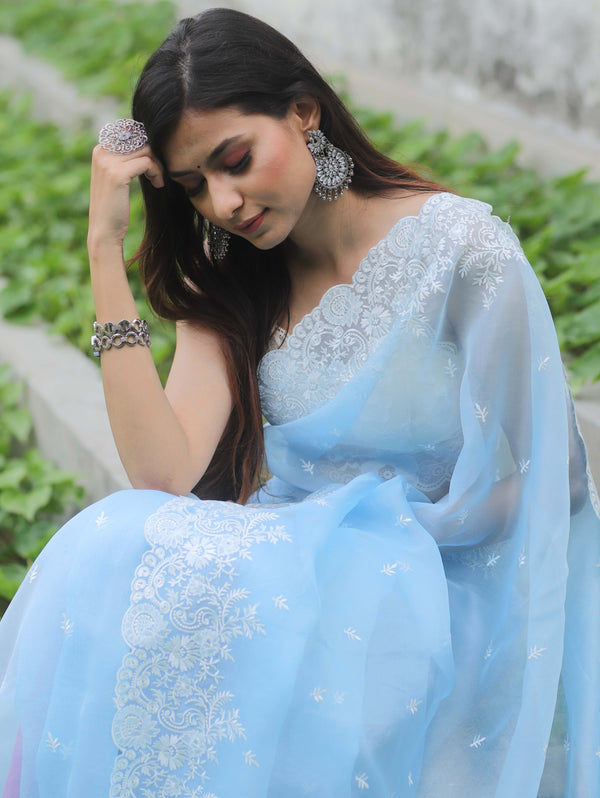 Banarasee Pure Organza Silk Saree With Floral Resham Embroidery-Pastel Blue