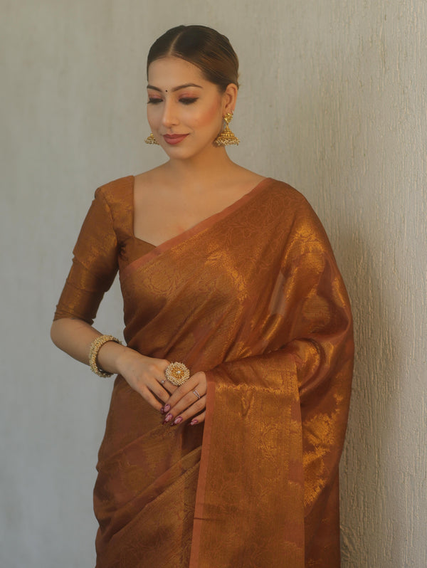 Banarasee Georgette Saree With Antiue Zari Jaal Design & Border-Brown