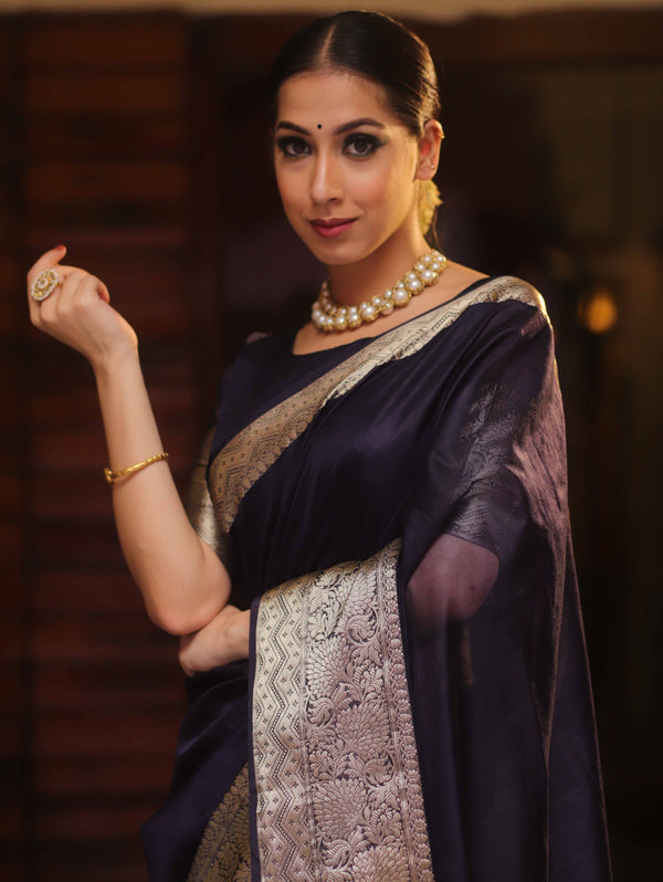 Banarasee Organza Mix Saree With Zari Border-Blue