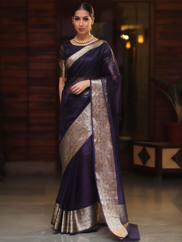 Banarasee Organza Mix Saree With Zari Border-Blue