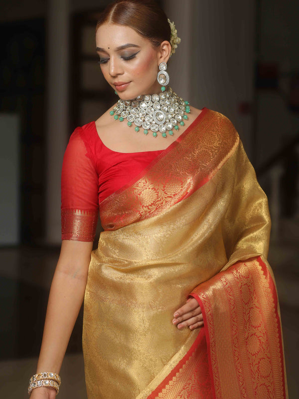 Banarasee Handwoven Broad Border Tissue Saree-Gold & Red