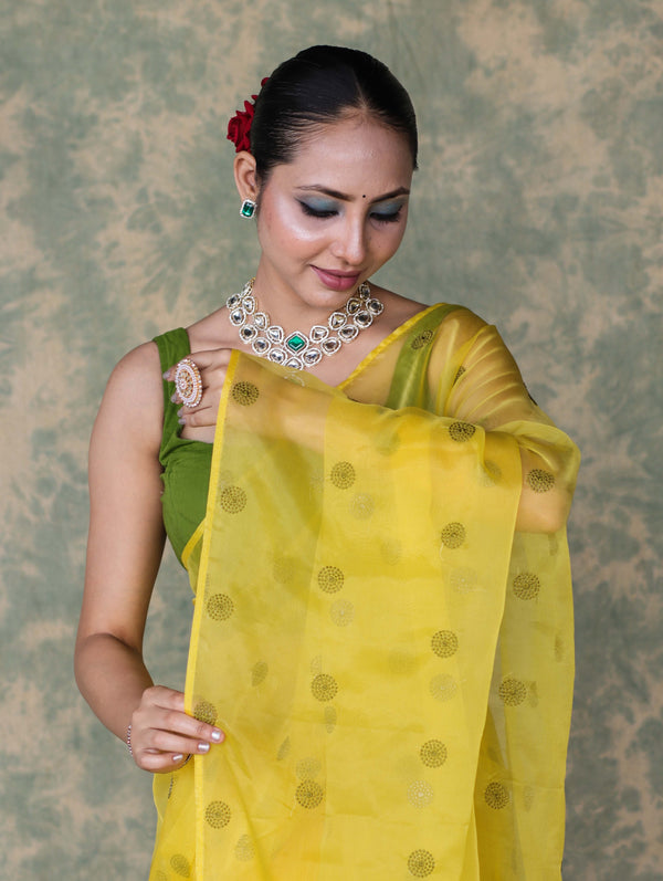 Banarasee Organza Mix Saree With Embroidered Buta & Applique Work Pallu-Yellow