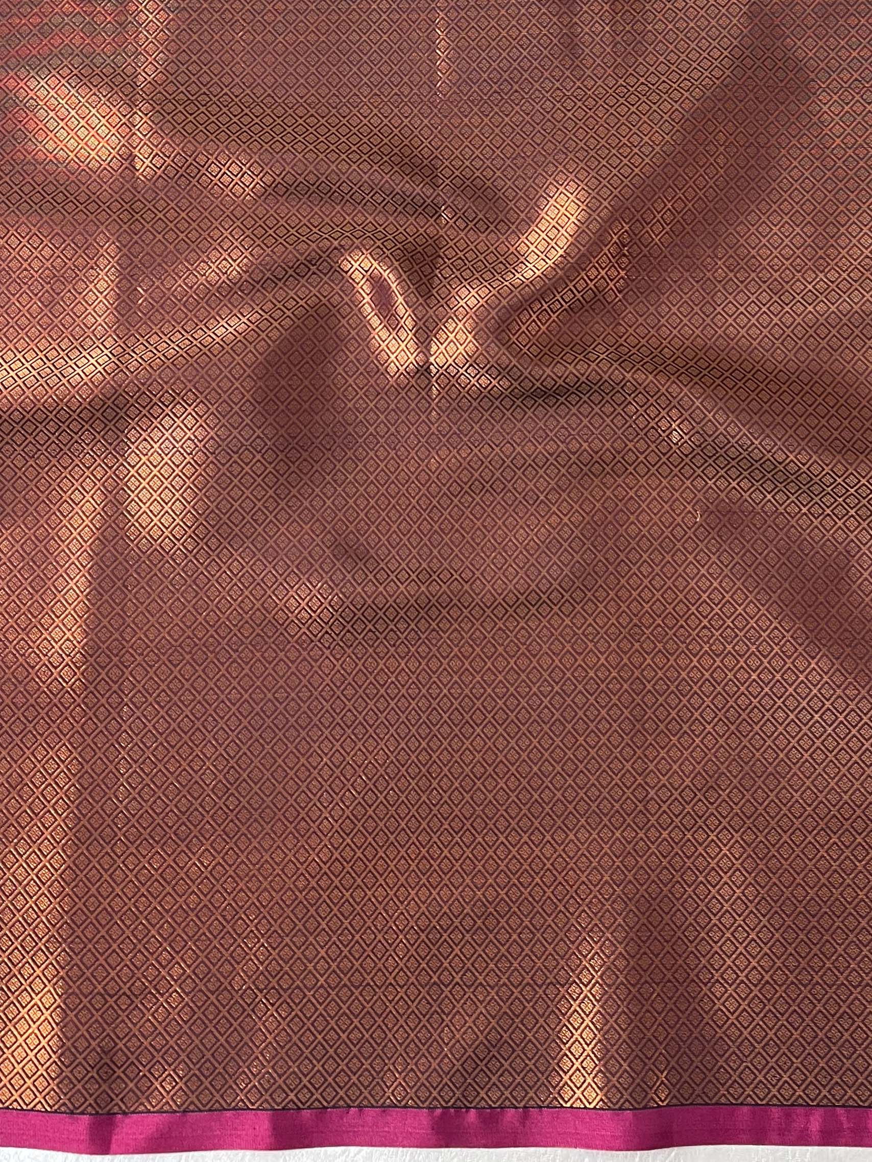 Banarasee Kora Muslin Saree With Tanchoi Design & Skirt Border-Black