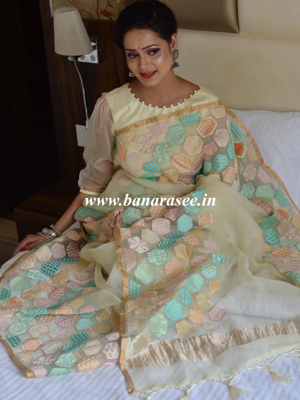 Banarasee Pure Organza Silk Saree With Embroidery-White