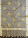 Banarasee Embroidered Gold Buta Design Organza Dupatta-Beige