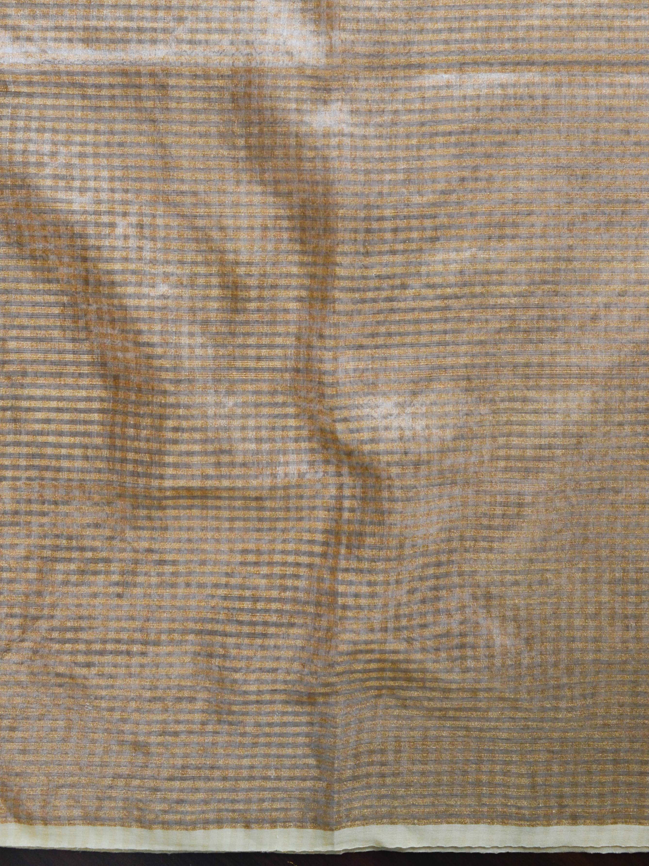 Banarasee Pure Organza Silk Saree With Embroidery-White