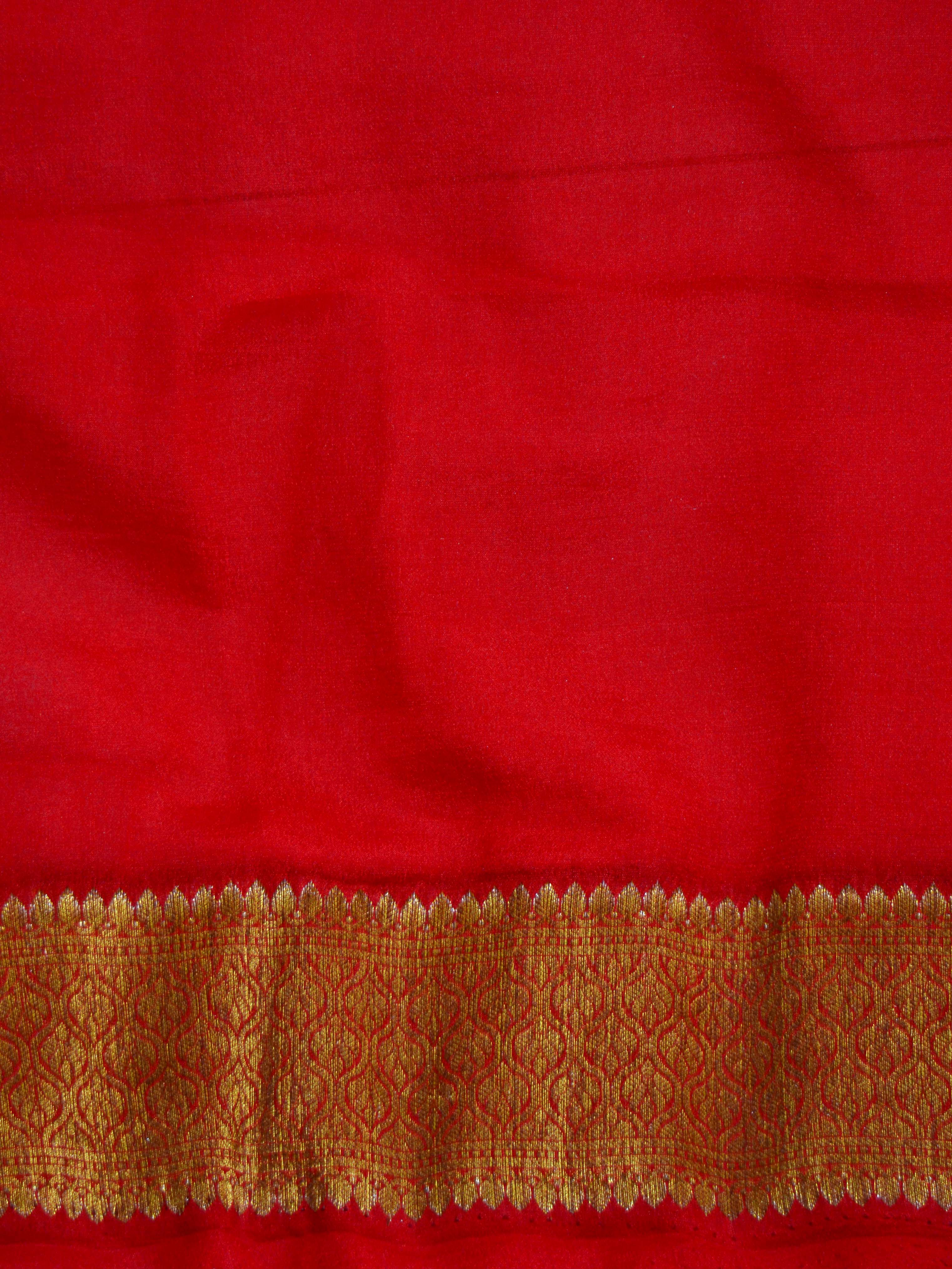 Banarasee Pure Chiffon Sari With Resham & Zari Work-Red