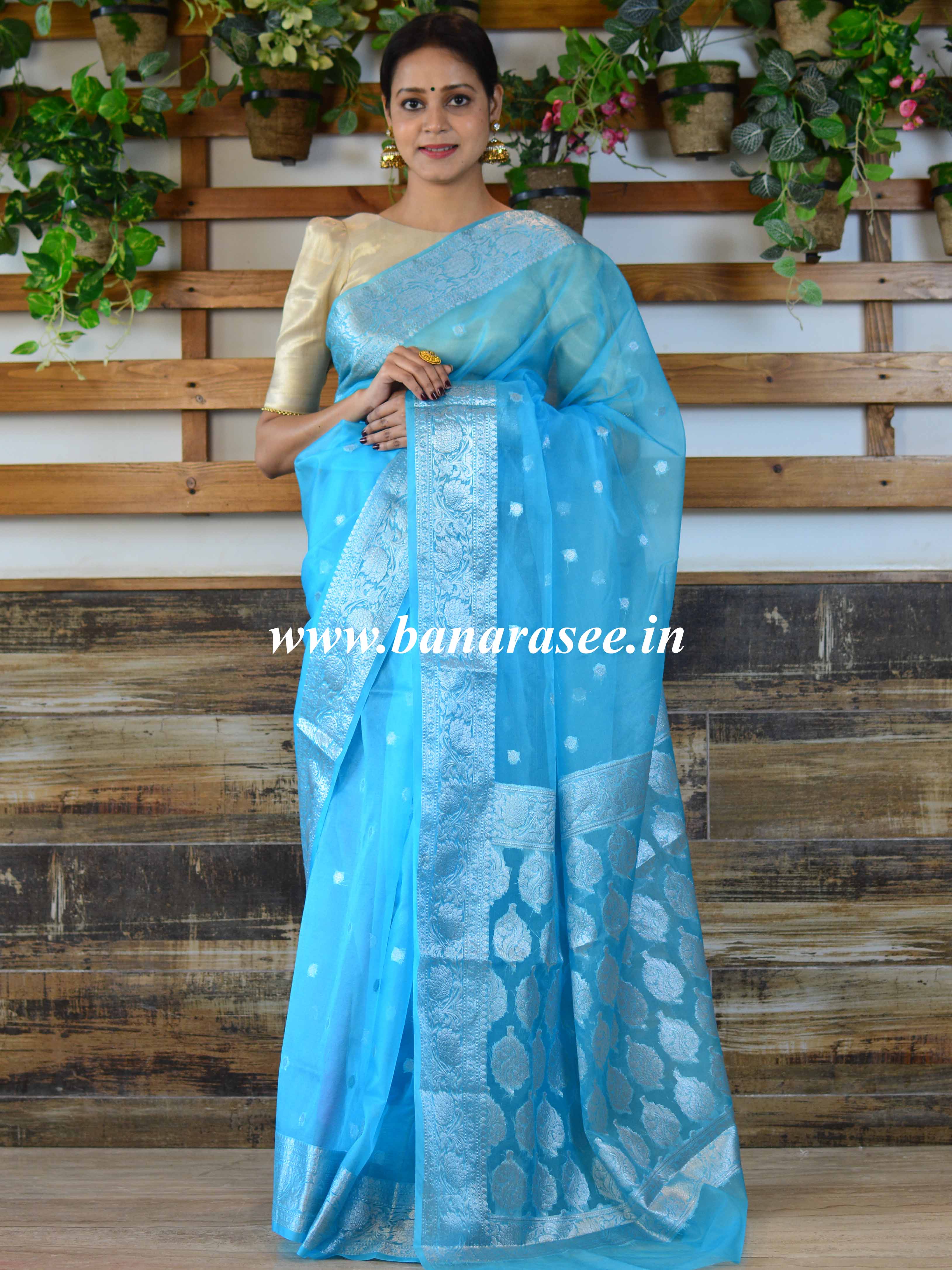 Banarasee Organza Mix Saree With Silver Zari-Sky Blue