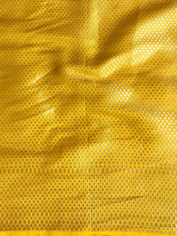 Banarasee Georgette Saree With Zari Work & Contrast Border-Blue & Yellow