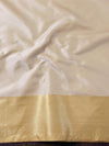 Banarasee Handwoven Tissue Saree With Embroidery & Hand Paint-Gold