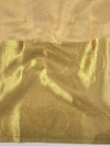 Banarasee Handwoven Broad Border Tissue Saree With Embroidered Design-Gold