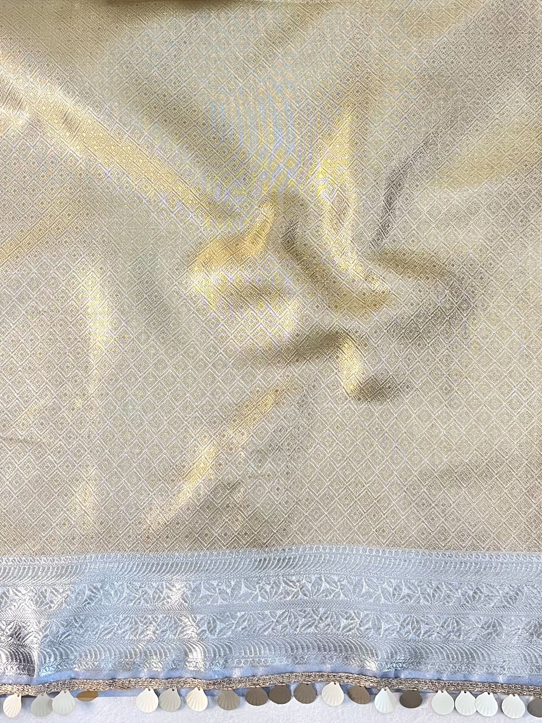 Banarasee Handwoven Tissue Saree With Hand Brush Paint Zari Design & Lace-Multicolor