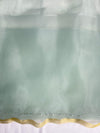 Banarasee Organza Mix Saree With Katdana Handwork-Mint Green