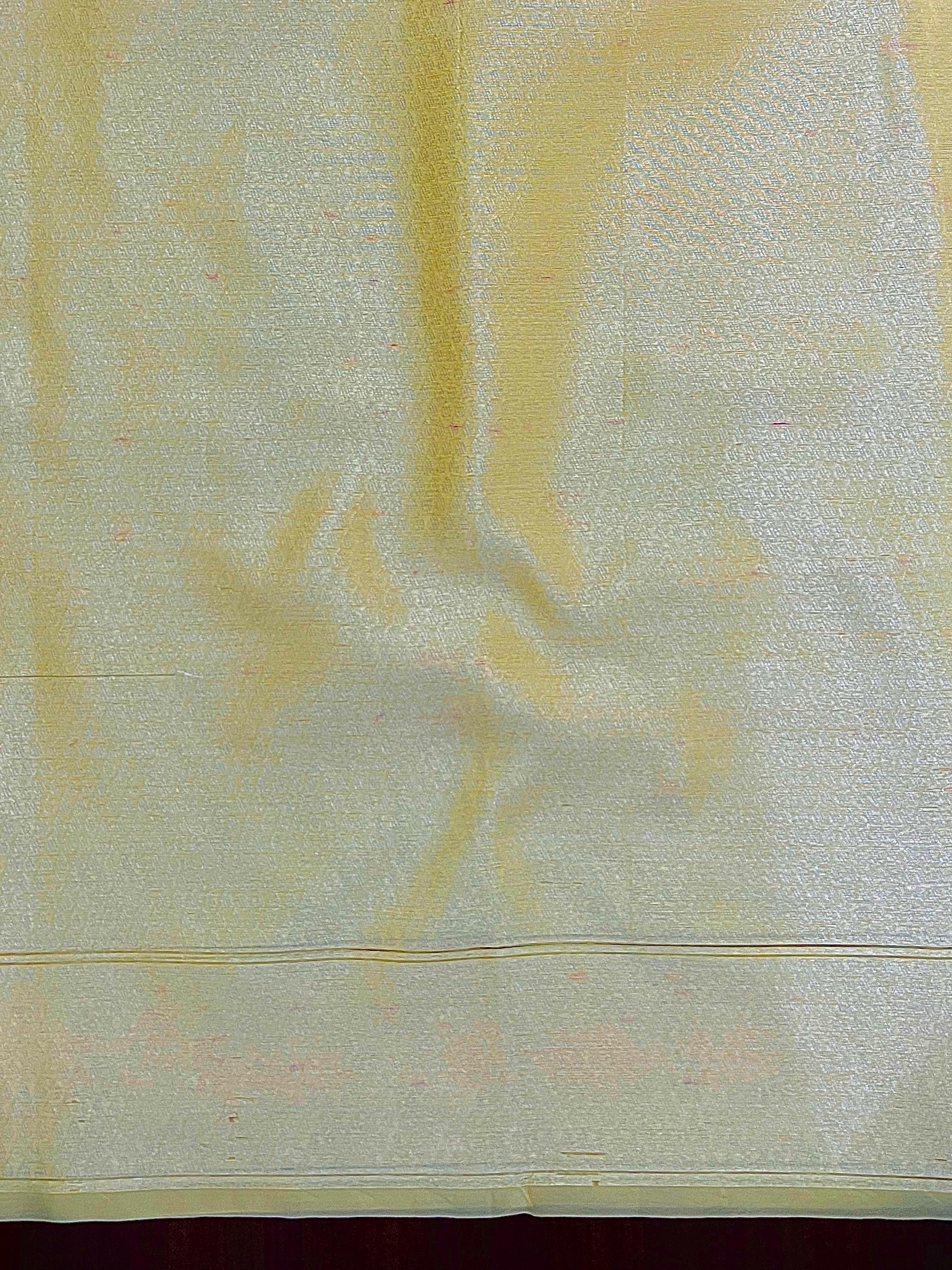 Banarasee Organza Mix Saree With Resham Jaal Design-Yellow