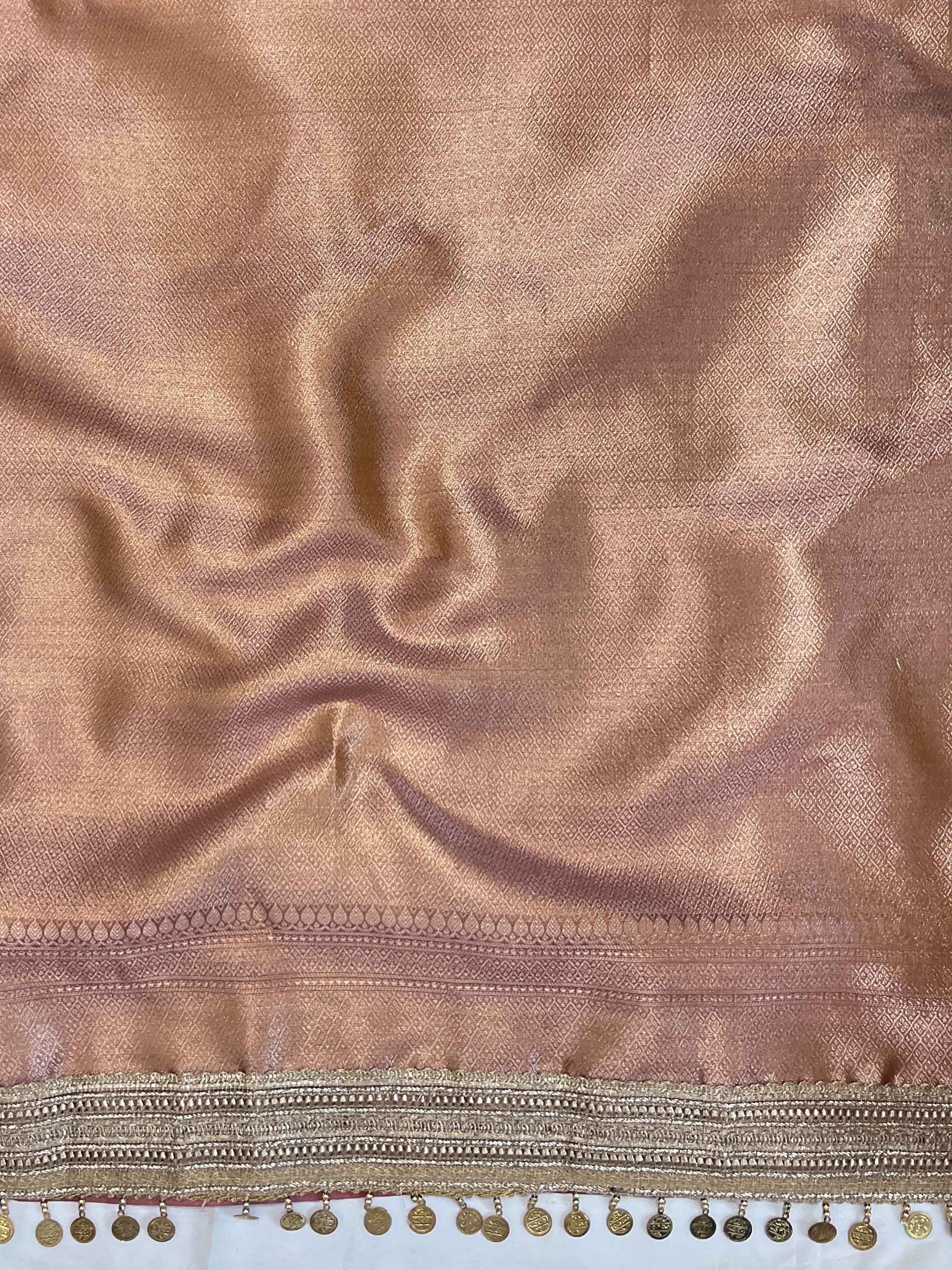 Banarasee Handwoven Tissue Saree With Zari Jaal Design Border & Lace-Rust(Dual Shade)