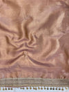 Banarasee Handwoven Tissue Saree With Zari Jaal Design Border & Lace-Rust(Dual Shade)