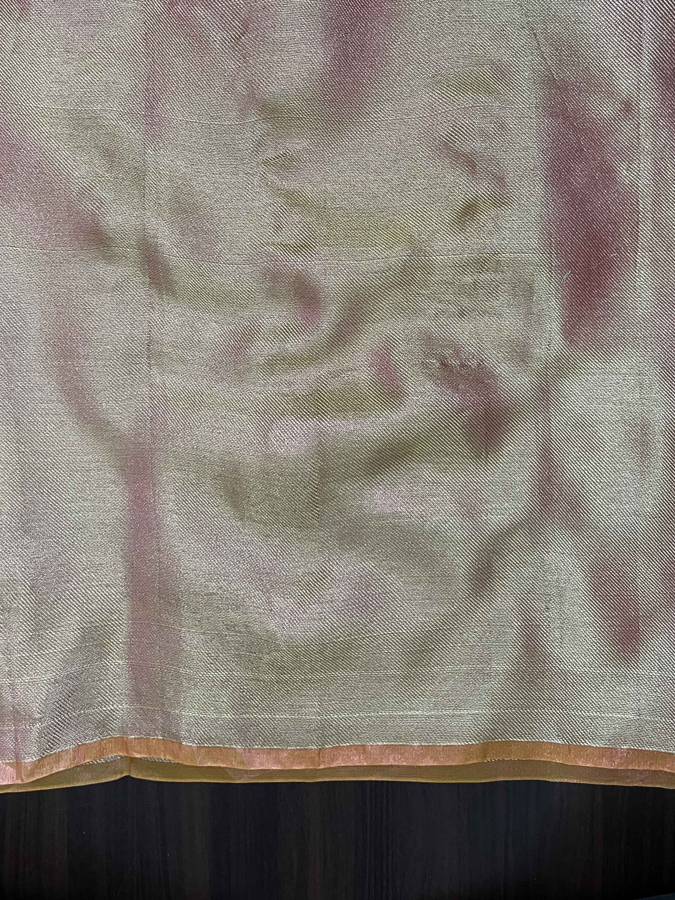 Banarasee Handwoven Tissue Saree With Thread Embroidered Border-Yellow (Gold Tone)