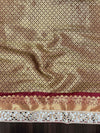 Banarasee Handwoven Tissue Saree With Zari Weaving Stripes Contrast Border & Lace-Rust & Maroon