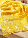 Banarasee Pure Organza Silk Saree With Floral Resham Embroidery-Yellow