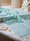 Banarasee Pure Organza Silk Saree With Resham Embroidery-Mint Blue