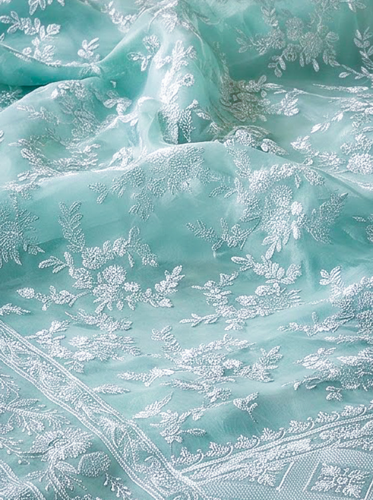 Banarasee Pure Organza Silk Saree With Resham Embroidery-Mint Blue