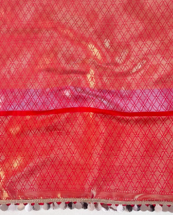 Banarasee Handwoven Tissue Saree With Zari Design & Lace-Multicolor