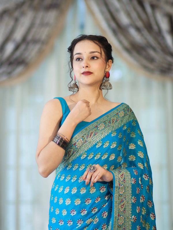 Banarasee Handloom Pure Chiffon Saree With Resham Work-Sky Blue