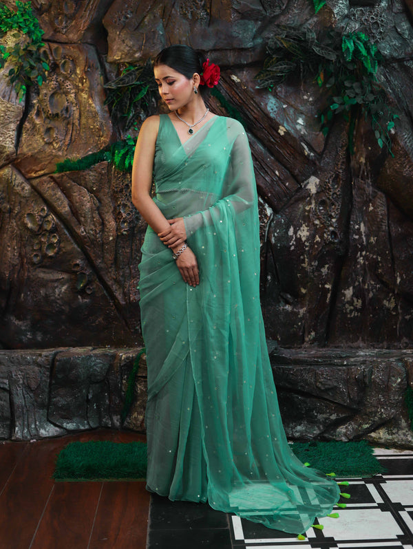 Banarasee Handwoven Semi Chiffon Saree With Mirror Work-Light Green