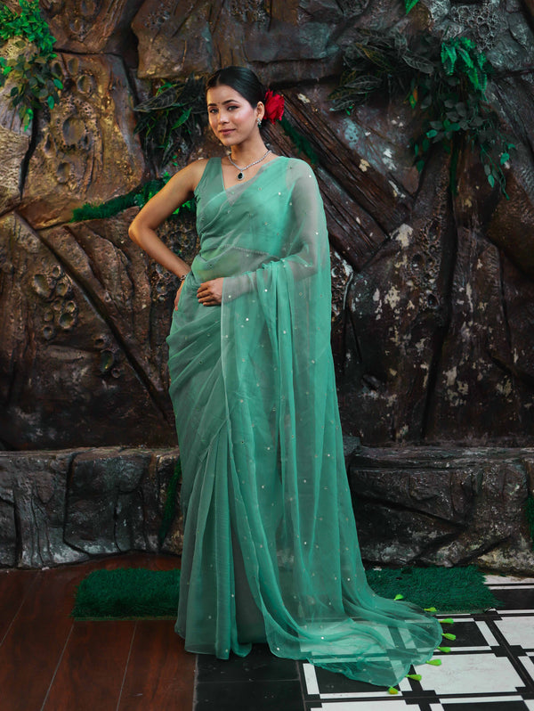 Banarasee Handwoven Semi Chiffon Saree With Mirror Work-Light Green