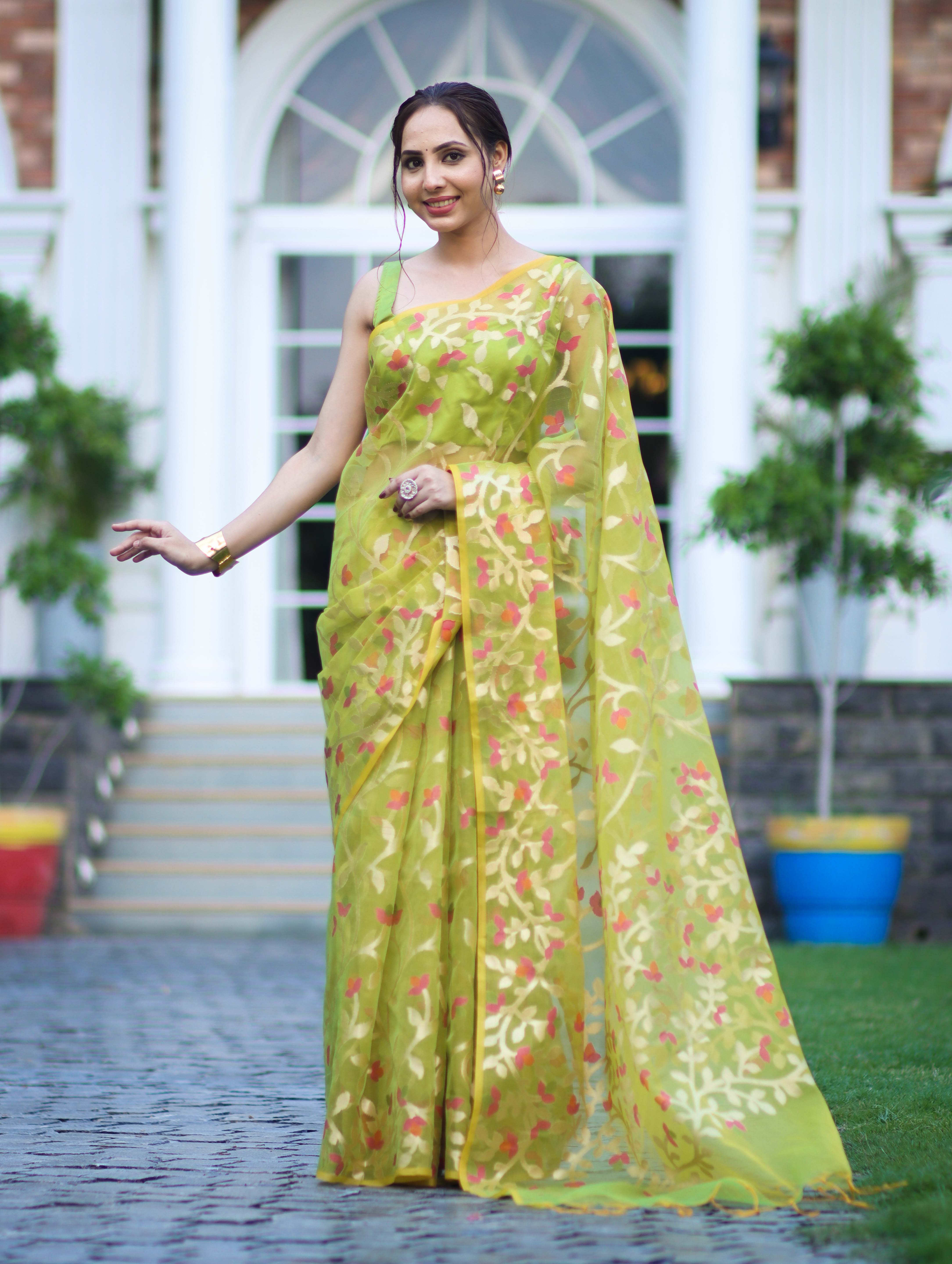 Banarasee Handloom Organza Mix Saree With Zari Woven Design-Light Green