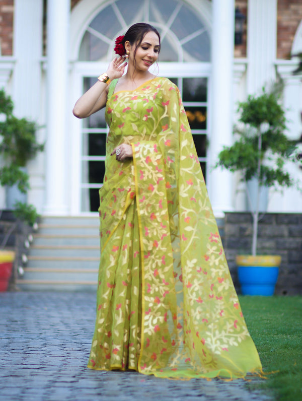 Banarasee Handloom Organza Mix Saree With Zari Woven Design-Light Green