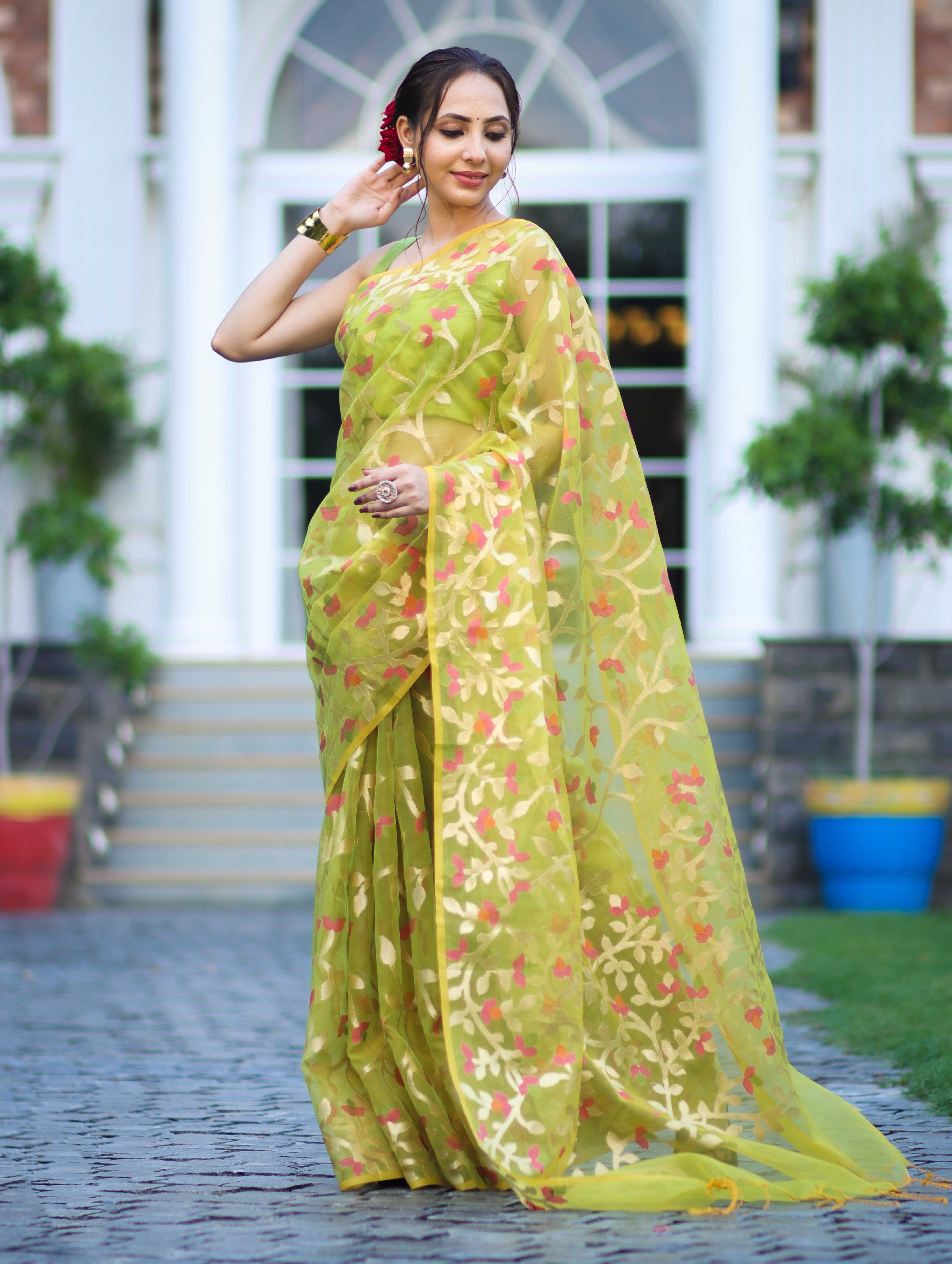 Banarasee Handloom Organza Mix Saree With Zari Woven Design-Light Green