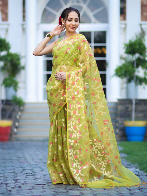 Banarasee Handloom Organza Mix Saree With Zari Woven Design-Light Green
