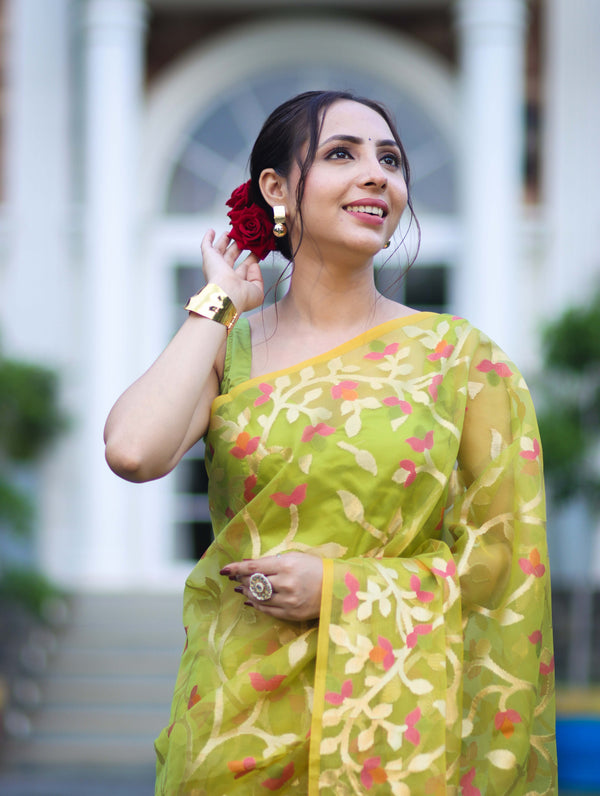 Banarasee Handloom Organza Mix Saree With Zari Woven Design-Light Green