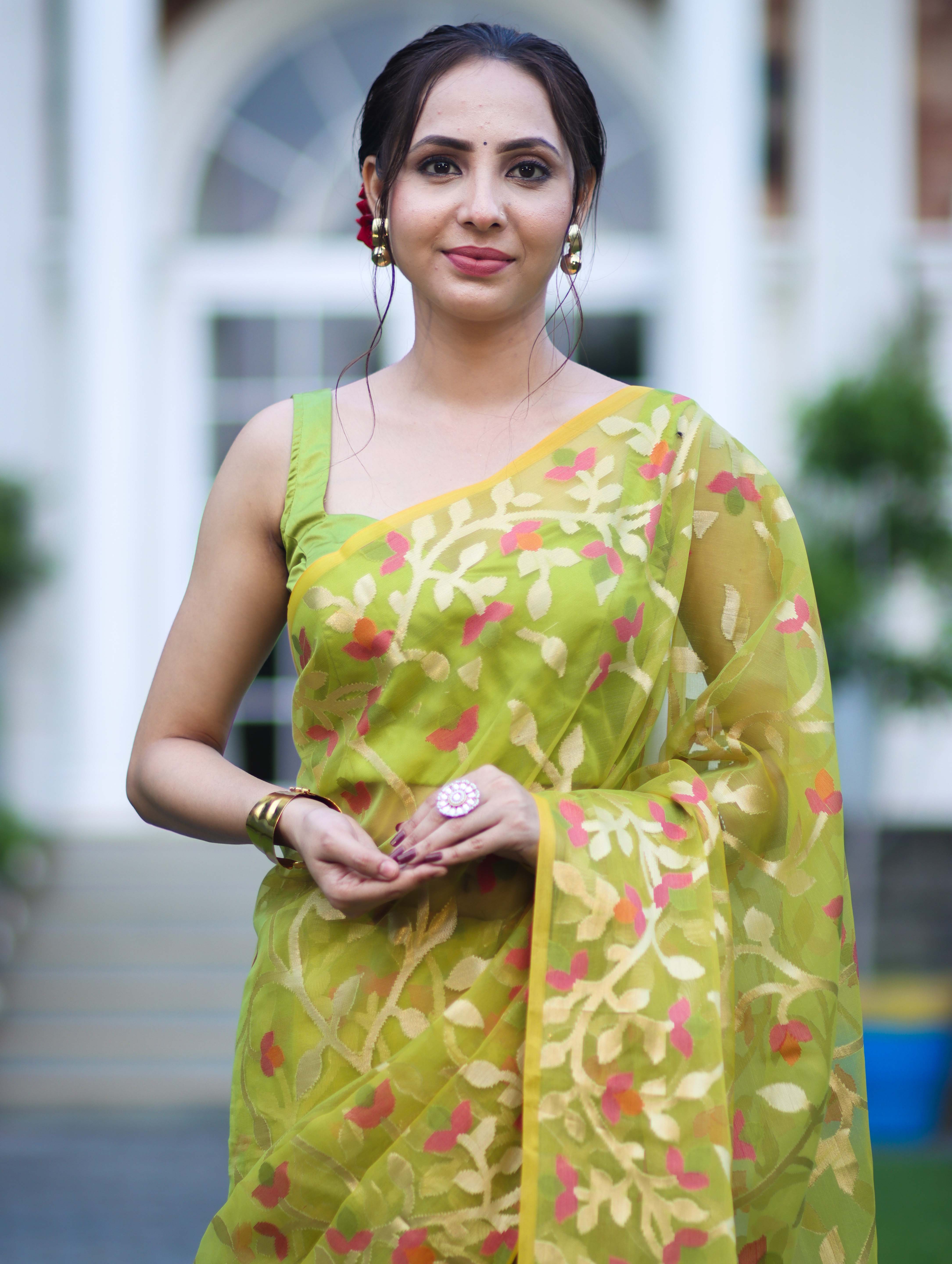 Banarasee Handloom Organza Mix Saree With Zari Woven Design-Light Green
