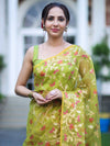Banarasee Handloom Organza Mix Saree With Zari Woven Design-Light Green