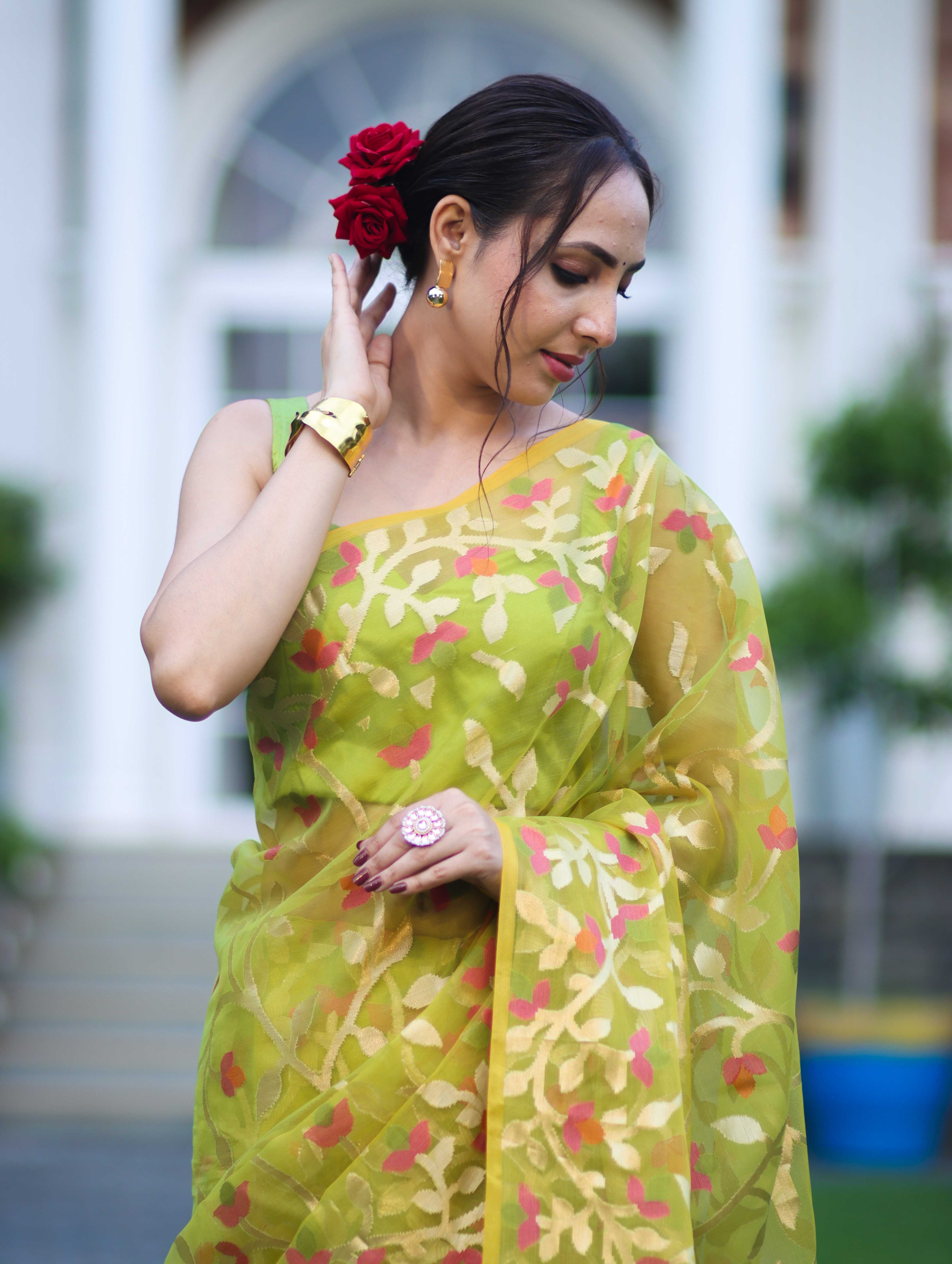 Banarasee Handloom Organza Mix Saree With Zari Woven Design-Light Green