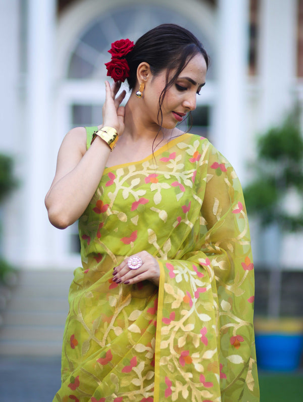 Banarasee Handloom Organza Mix Saree With Zari Woven Design-Light Green