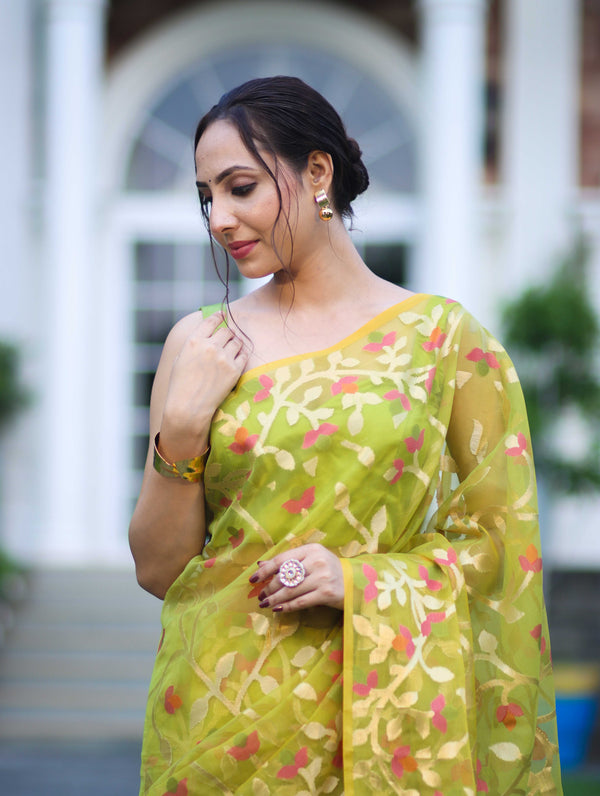 Banarasee Handloom Organza Mix Saree With Zari Woven Design-Light Green