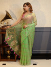 Banarasee Organza Mix Saree With Embroidered Buta & Applique Work Pallu-Pastel Green