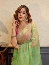 Banarasee Organza Mix Saree With Embroidered Buta & Applique Work Pallu-Pastel Green