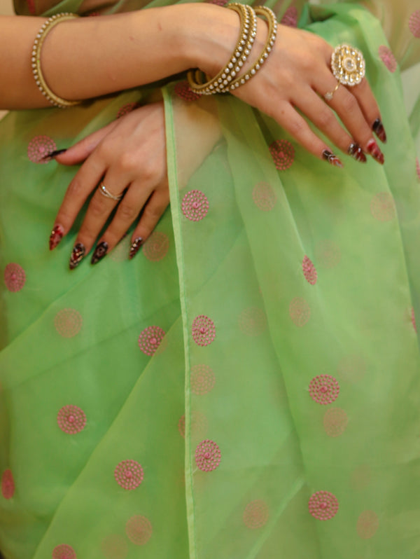 Banarasee Organza Mix Saree With Embroidered Buta & Applique Work Pallu-Pastel Green
