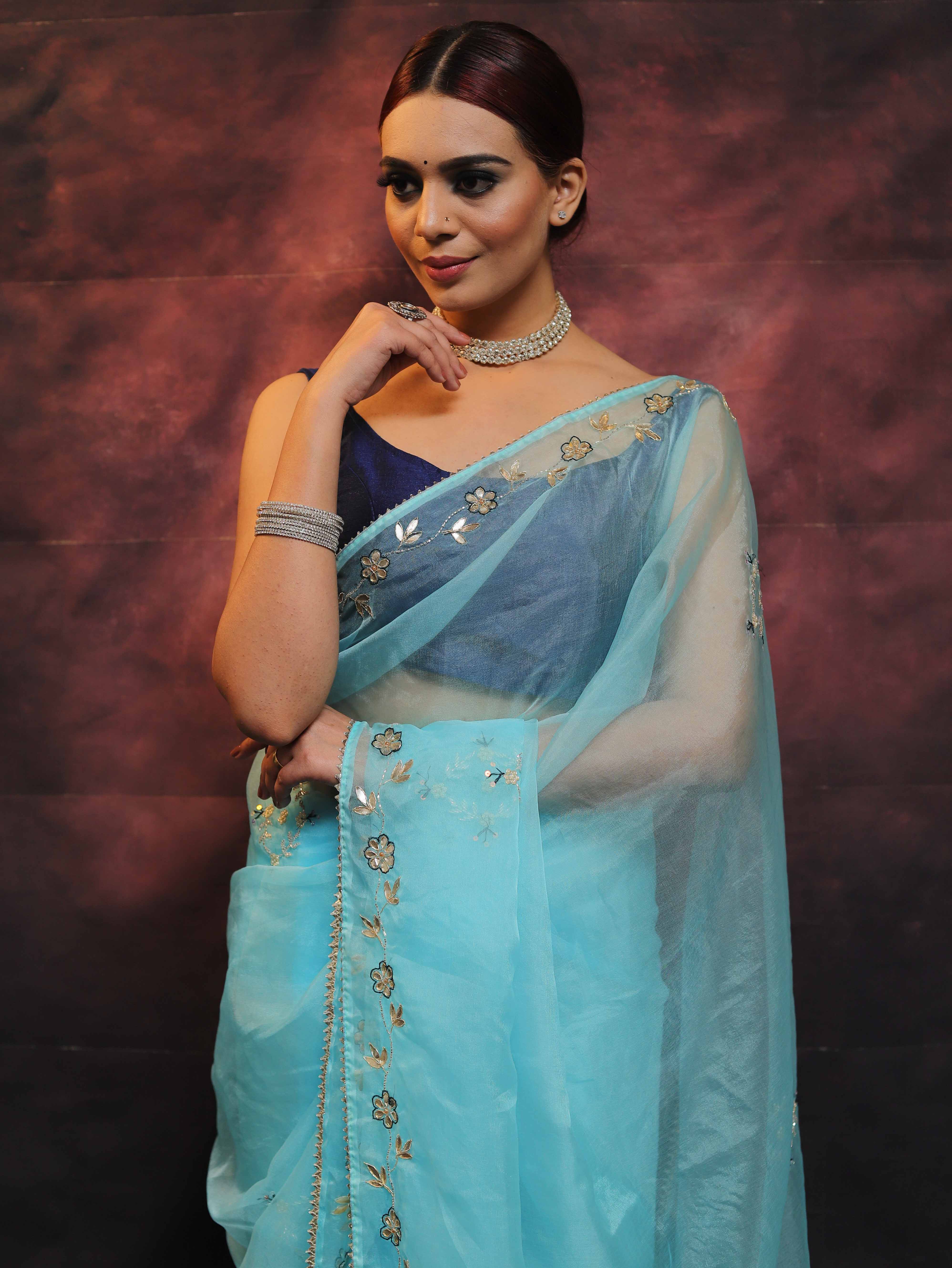 Banarasee Tissue Organza Saree With Handwork-Pastel Blue