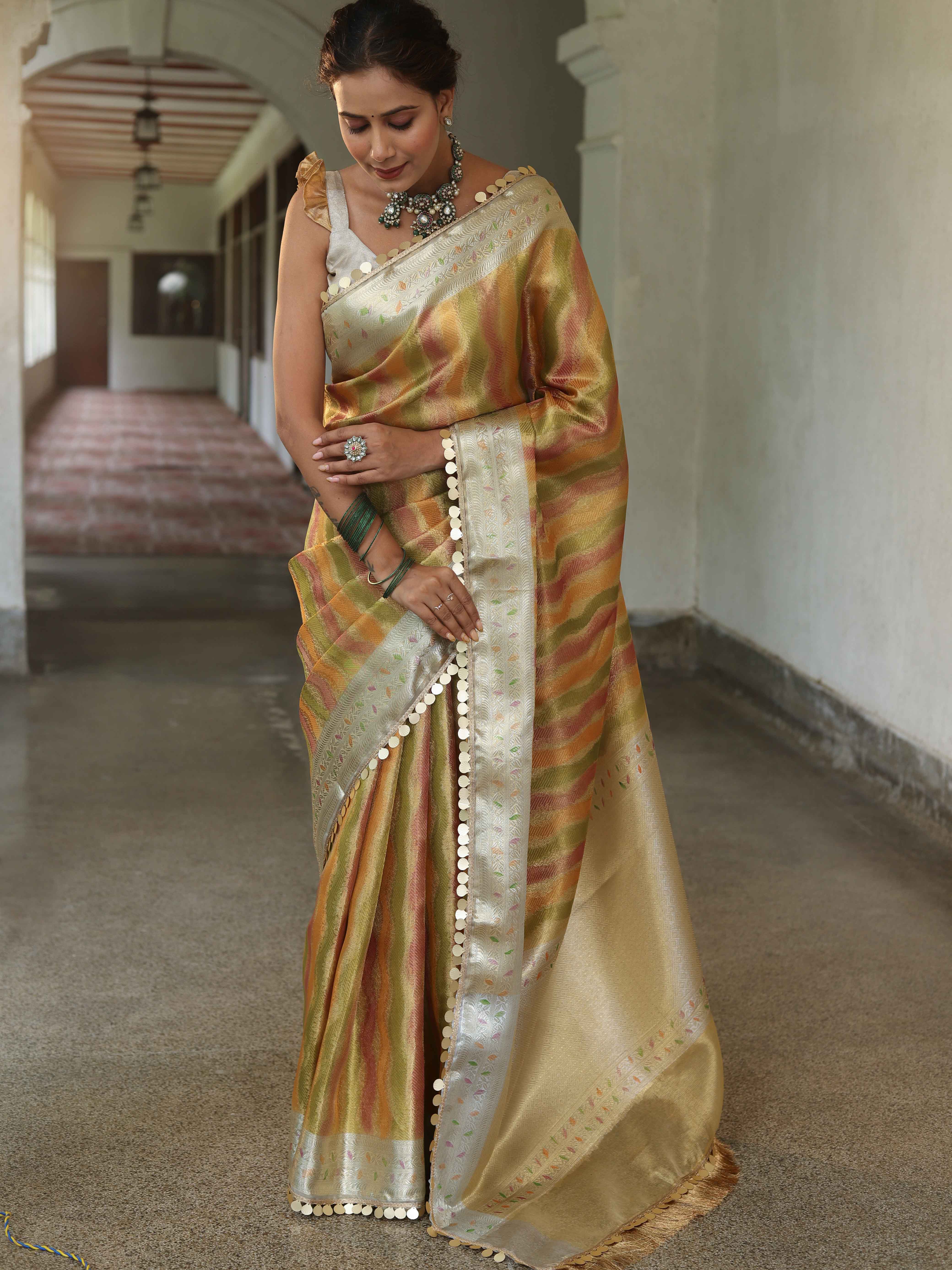 Banarasee Handwoven Tissue Saree With Hand Brush Paint Zari Design & Lace-Multicolor